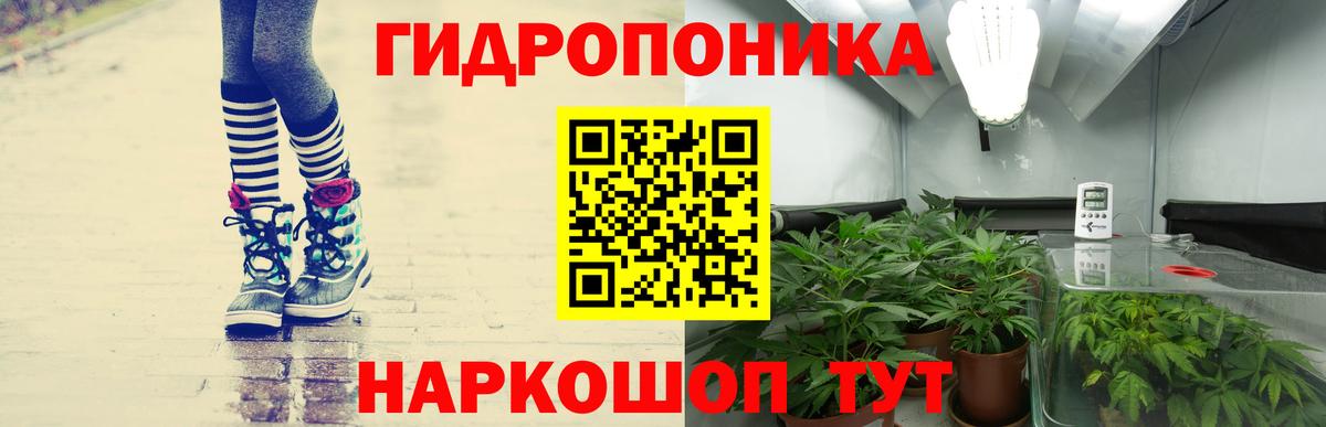 Рассказово  Каннабис план  Бошки марихуана индика  Вход с VPN  Шишки марихуана сатива  Бошки марихуана OG Kush 